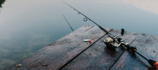 bouillettes pour pêche