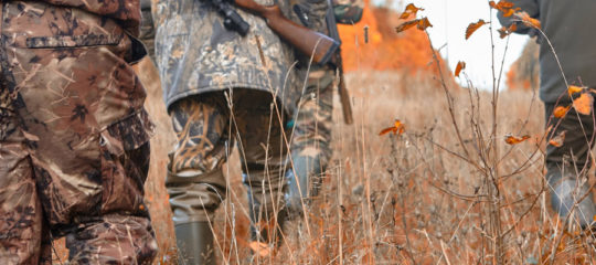 vêtement chasse